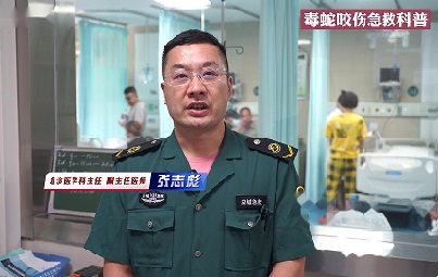 被毒蛇咬伤后怎么办？